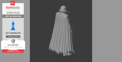 A cloaked figure with a wide-brimmed hat, viewed from behind, draped in a long, flowing cape.