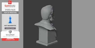 A 3D-printed bust of a historical figure with a beard, viewed from the back-right angle.