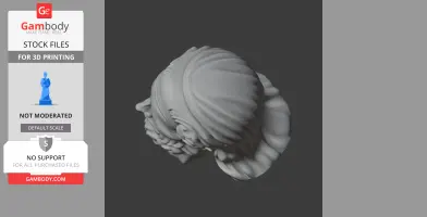 Top view of a detailed 3D bust model showcasing intricate hair and facial features.