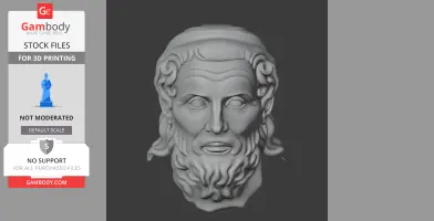 3D model of a bearded male bust with detailed hair and facial features, suitable for 3D printing.