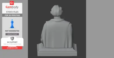 3D printed bust of a historical figure viewed from the back, with detailed hair and cloak.