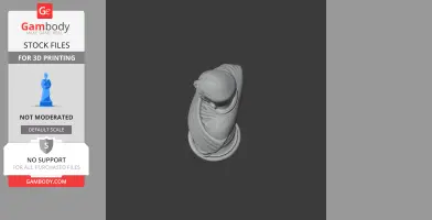 Top-down view of a 3D printed bust of a historical figure, draped in a toga, on a pedestal.