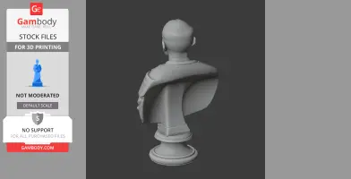 Bust of a historical figure with draped clothing on a pedestal, viewed from the back.