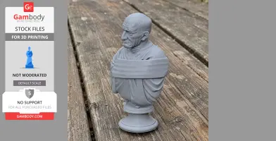 A gray 3D-printed bust of an elderly man in Roman attire, set outdoors on wooden planks.