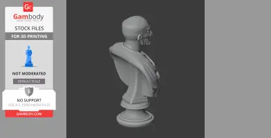 Gray bust of a historical figure in a toga, side view, on a pedestal.