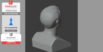 3D model of a bust viewed from behind, showing the back and side of the head and shoulders.