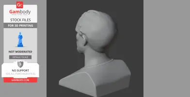 3D model of a bust viewed from the back, showing the head and shoulders on a gray background.