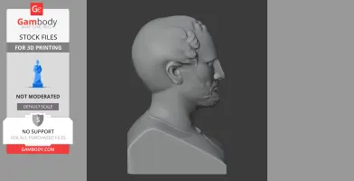 Side profile of a 3D-printed bust of an ancient warrior with detailed hair and beard.