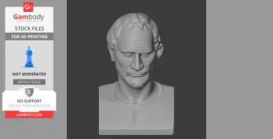 3D model of a historical warrior bust with detailed facial features, designed for 3D printing.