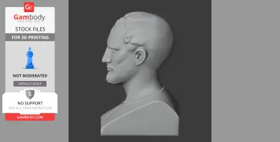 3D model of a historical bust in side profile, showcasing detailed facial features and hair.