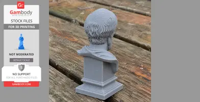 3D-printed bust of a bearded man with wavy hair, viewed from the back, on a wooden surface.