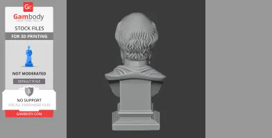 3D model of Eratosthenes bust viewed from the back, showing detailed wavy hair and cloak folds.