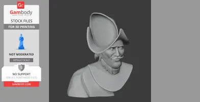 Bust of a historical warrior with a beard, mustache, and broad-brimmed hat, designed for 3D printing.