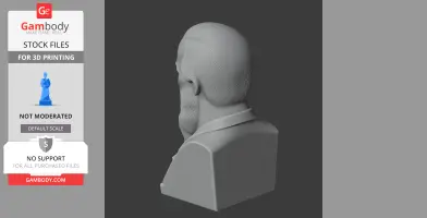 A 3D bust model with detailed textured hair and beard, viewed from the back.