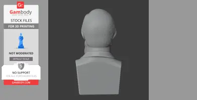 Back view of a 3D-printed bust, showing a textured head and a collared garment.