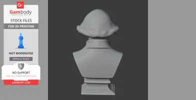3D printed bust of a historical figure, viewed from the back, showcasing detailed hair and clothing.