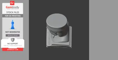 3D bust model of Giuseppe Garibaldi on a square base, designed for 3D printing.