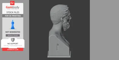 Side view of a detailed 3D bust of a bearded historical warrior for 3D printing.