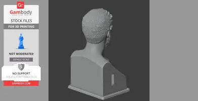 3D printed bust of a historical warrior, focusing on textured hair detail, viewed from the back.
