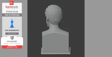 3D render of a historical warrior bust from behind, showing textured hair and smooth back on a base.