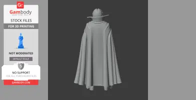 Hooded figure in a flowing cloak with high collar from behind, suitable for 3D printing.