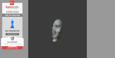 A stylized 3D model of a robed figure with a round hat, viewed from above, for 3D printing.