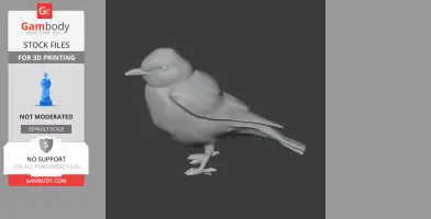 A 3D model of a bird with detailed feathers and beak, standing on its feet, designed for 3D printing.