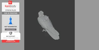 3D model of a falcon from above, wings folded, suitable for 3D printing.
