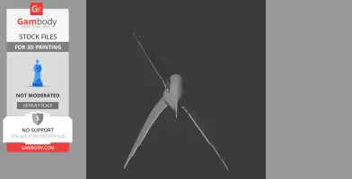 3D model of Bates's swift with outstretched wings, seen from above on a dark background.