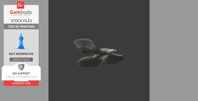 A 3D model of a flying prehistoric bird with detailed feathers and wings, viewed from the side.