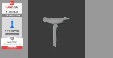 3D model of a Baudo oropendola bird, detailed with long tail, wings folded, for 3D printing.