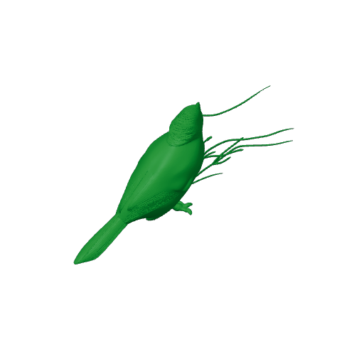Baumann's olive greenbul.3mf