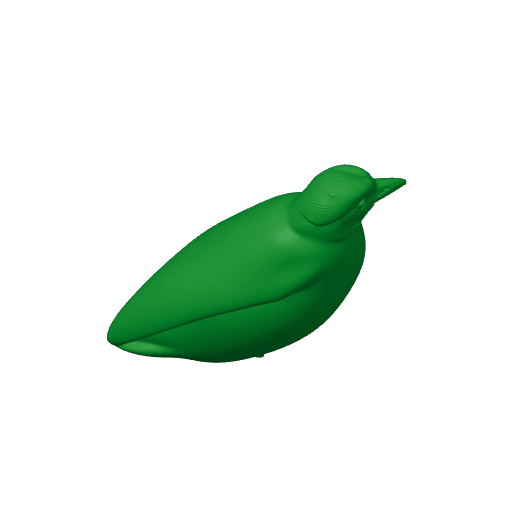 Bay antpitta.3mf