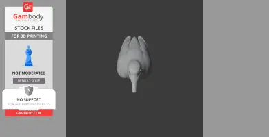 A 3D model of a bird with elongated features viewed from above, suitable for 3D printing.