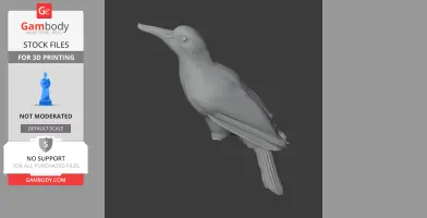 3D model of a bay woodpecker with detailed feathers, designed for 3D printing.