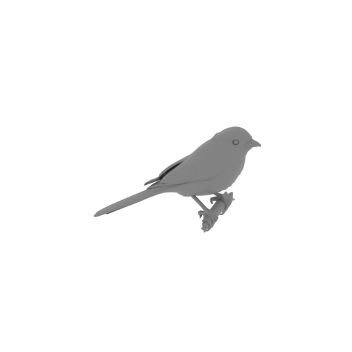 Bay-backed shrike.stl