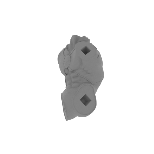 Tygra v2 body.stl
