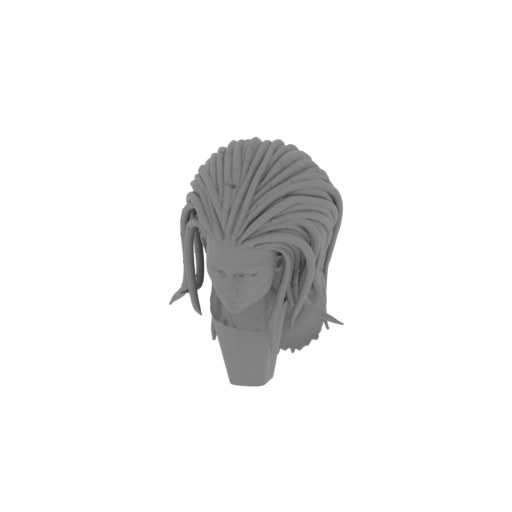 15_Sarah_Kerrigan_head_FDM(repaired).stl