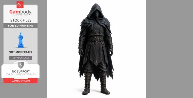 Hooded figure in dark, feathered cloak and armor, standing with hands at sides.