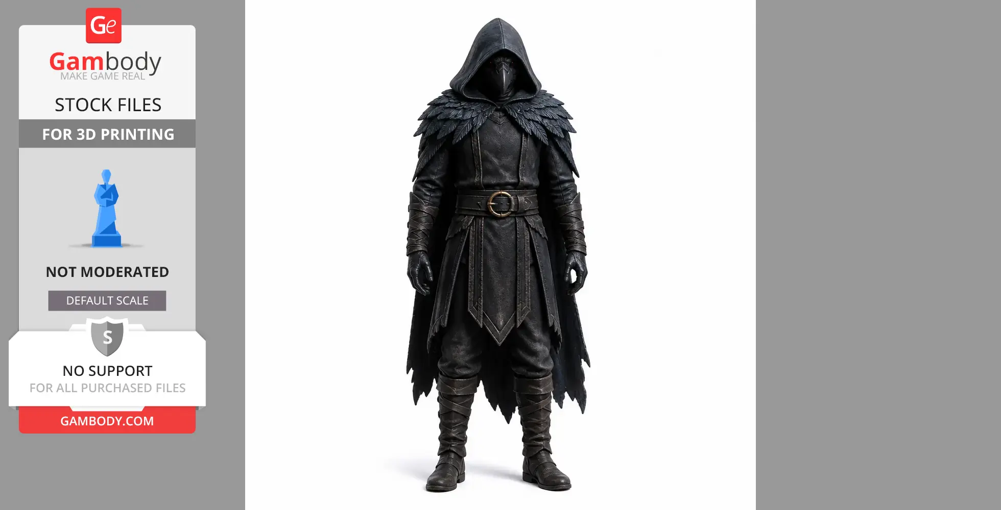 Hooded figure in dark, feathered cloak and armor, standing with hands at sides.