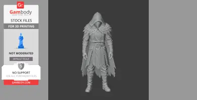 A hooded, robed figure with feathered shoulders stands in a neutral pose, ready for 3D printing.