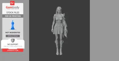 A detailed 3D model of a female character in fantasy armor, designed for 3D printing.