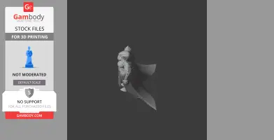 Detailed armored figurine with a cape, suitable for 3D printing.