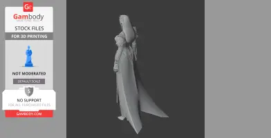 3D model of a detailed fantasy character in armor with a long flowing cape and headdress, seen from the side.