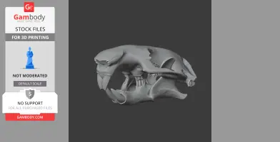 A 3D model of a beaver skull, detailed for 3D printing, shown from a side view.
