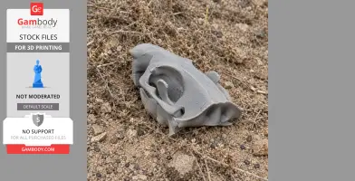 3D-printed beaver skull replica on dry, rocky ground.