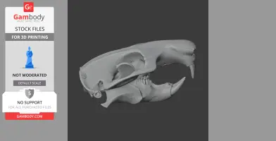 Side view of a detailed 3D beaver skull model, showcasing large front teeth for 3D printing.