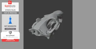 3D model of a beaver skull, showing detailed bone structures, designed for 3D printing.