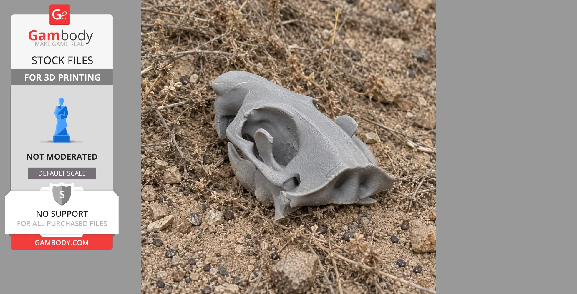 3D-printed beaver skull replica on dry, rocky ground.