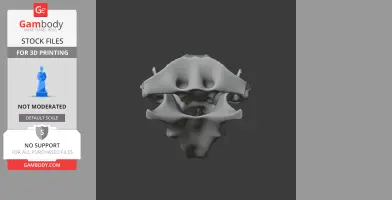 A 3D model of a beaver skull, featuring detailed bone structures and cavities, for 3D printing.